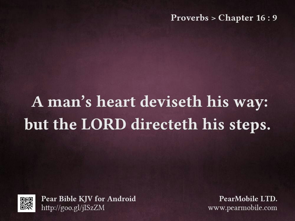 Proverbs, Chapter 16:9